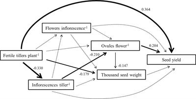 Analysis of seed production and seed shattering in a new artificial grassland forage: pigeon pea